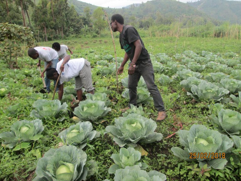 Sake, North Kivu, D.R. Congo – International Cities of Peace